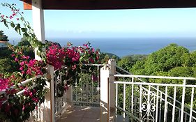 Villa des îles