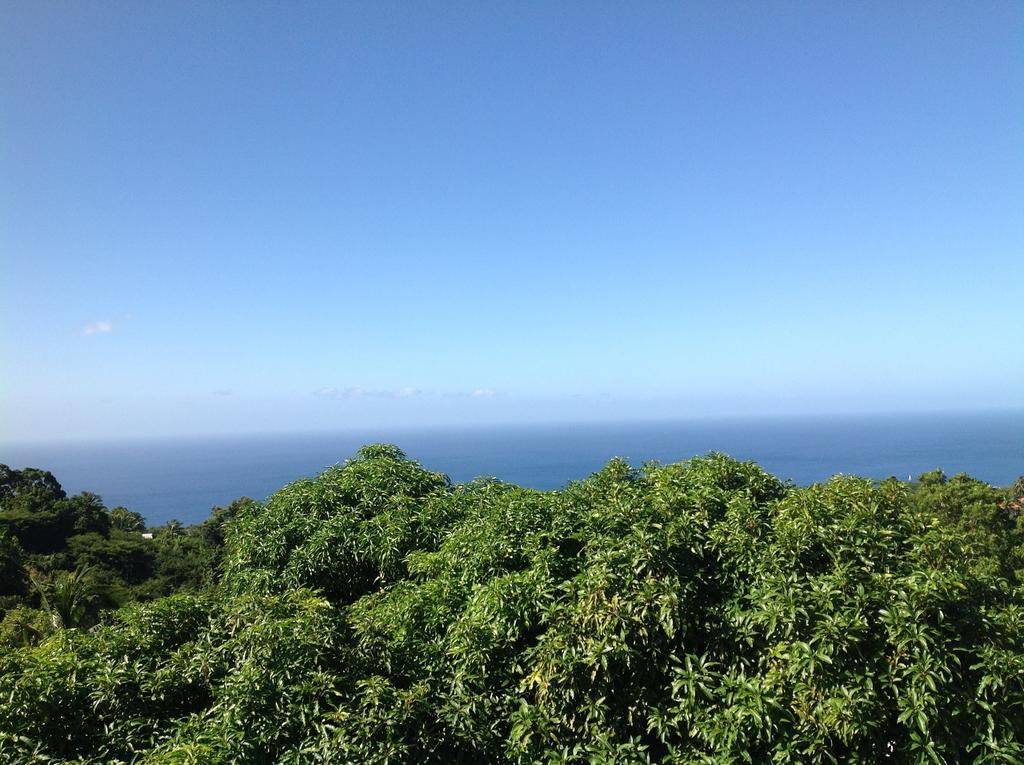 Villa des îles Basse-Terre Extérieur photo