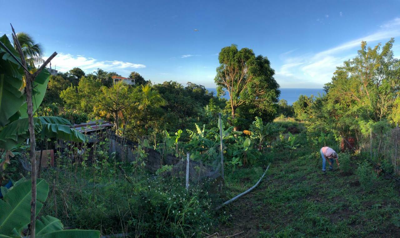 Villa des îles Basse-Terre Extérieur photo